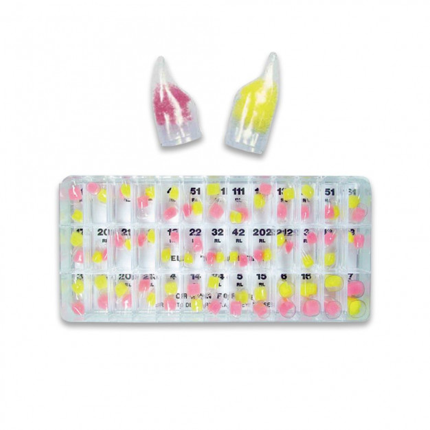 Moule Odus Pella PD - N° RL 41 - La paire Moule Odus Pella PD - N° RL 41 - La paire