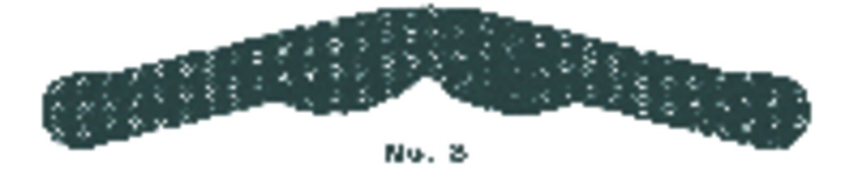 Bandes Matrices Tofflemire PD - X-mince - n°11