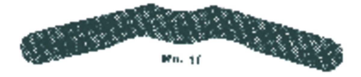 Bandes Matrices Tofflemire PD - mince - n°11