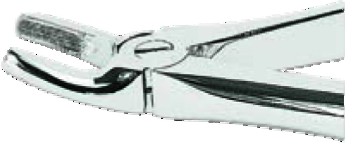 Davier ASA LADY - Prémolaires supérieures Davier ASA LADY - Prémolaires supérieures