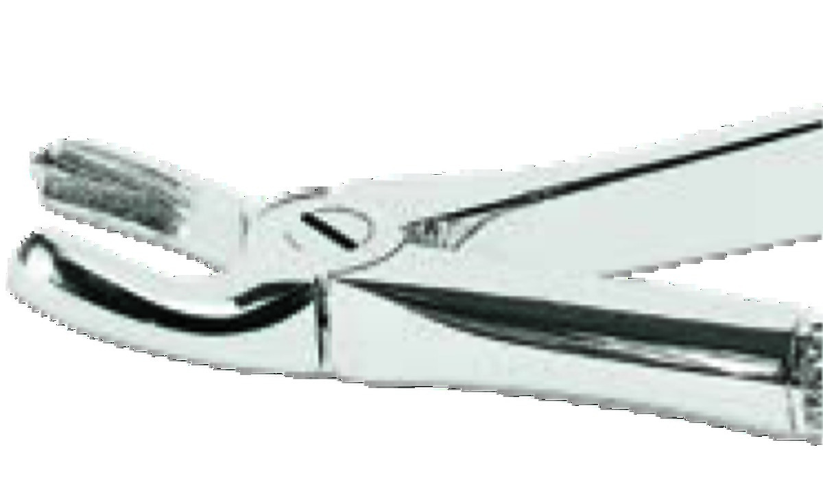 Davier ASA LADY - Molaires supérieures gauches Davier ASA LADY - Molaires supérieures gauches