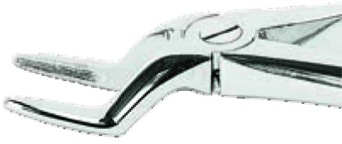 Davier ASA LADY - Racines supérieures Davier ASA LADY - Racines supérieures