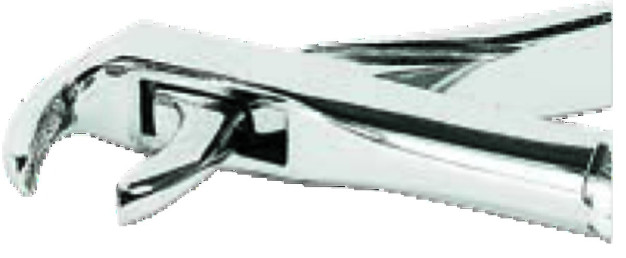 Davier ASA LADY - Canines et prémolaires inférieures Davier ASA LADY - Canines et prémolaires inférieures