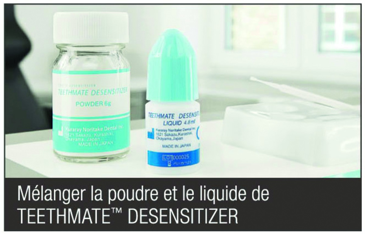 Teethmate Desensitizer KURARAY - Poudre 6g Teethmate Desensitizer KURARAY - Poudre 6g