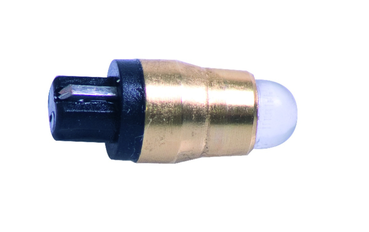 Ampoule LED-S BA-INTERNATIONAL Ampoule LED-S BA-INTERNATIONAL