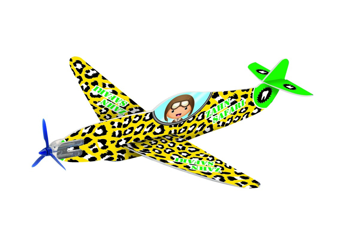 Avion Planeur HAGER WERKEN - Boîte de 50 Avion Planeur HAGER WERKEN - Boîte de 50