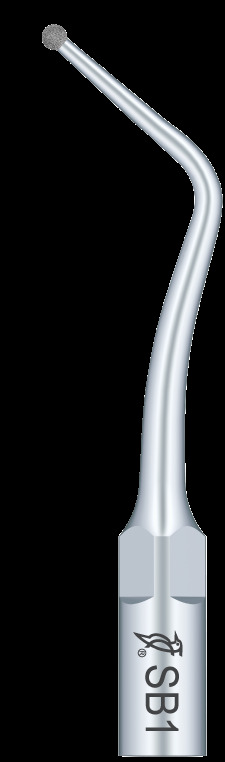 Insert SB1 - Compatible EMS - Woodpecker