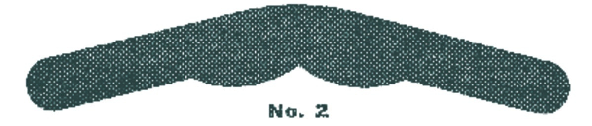 Bandes Matrices Tofflemire PD - mince - n°2
