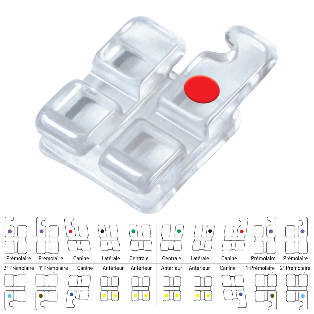 Bracket Pure ORTHO-TECHNOLOGY - Roth - 5x5 crochet canine - Boîte de 10 Bracket Pure ORTHO-TECHNOLOGY - Roth - 5x5 crochet canine - Boîte de 10