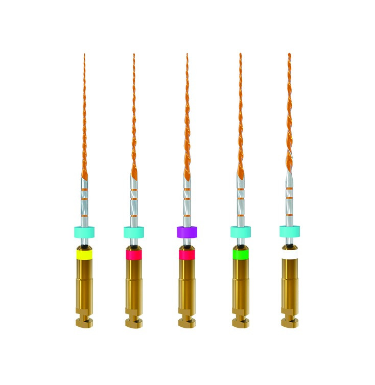 Assortiment B5 One RECI L31 Micromega Assortiment B5 One RECI L31 Micromega
