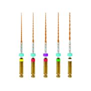 Assortiment B5 One RECI L31 Micromega