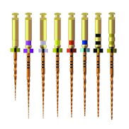 Limes Rotary NiTi  U Assortment 31mm (6) HENRY SCHEIN